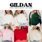 a group of women wearing sweaters with the words gilan on them